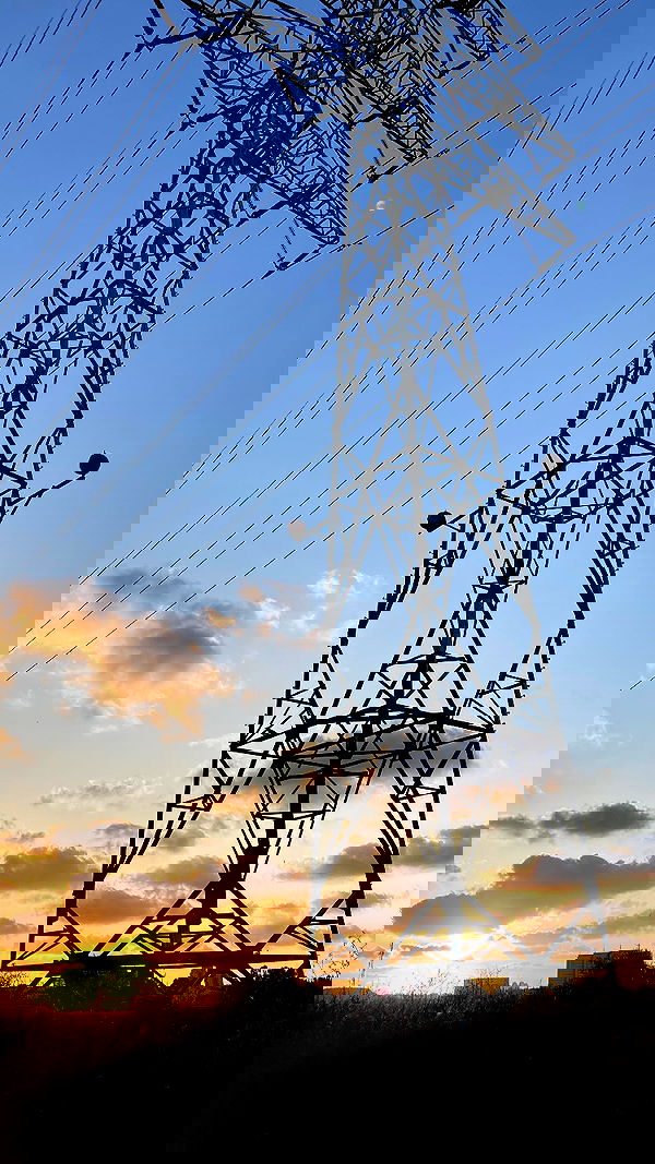 shanikaneko image ~ Altpins