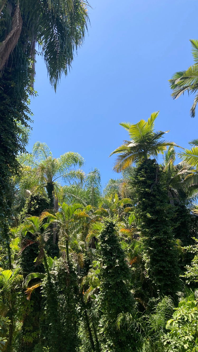 shanikaneko instagram image archive image