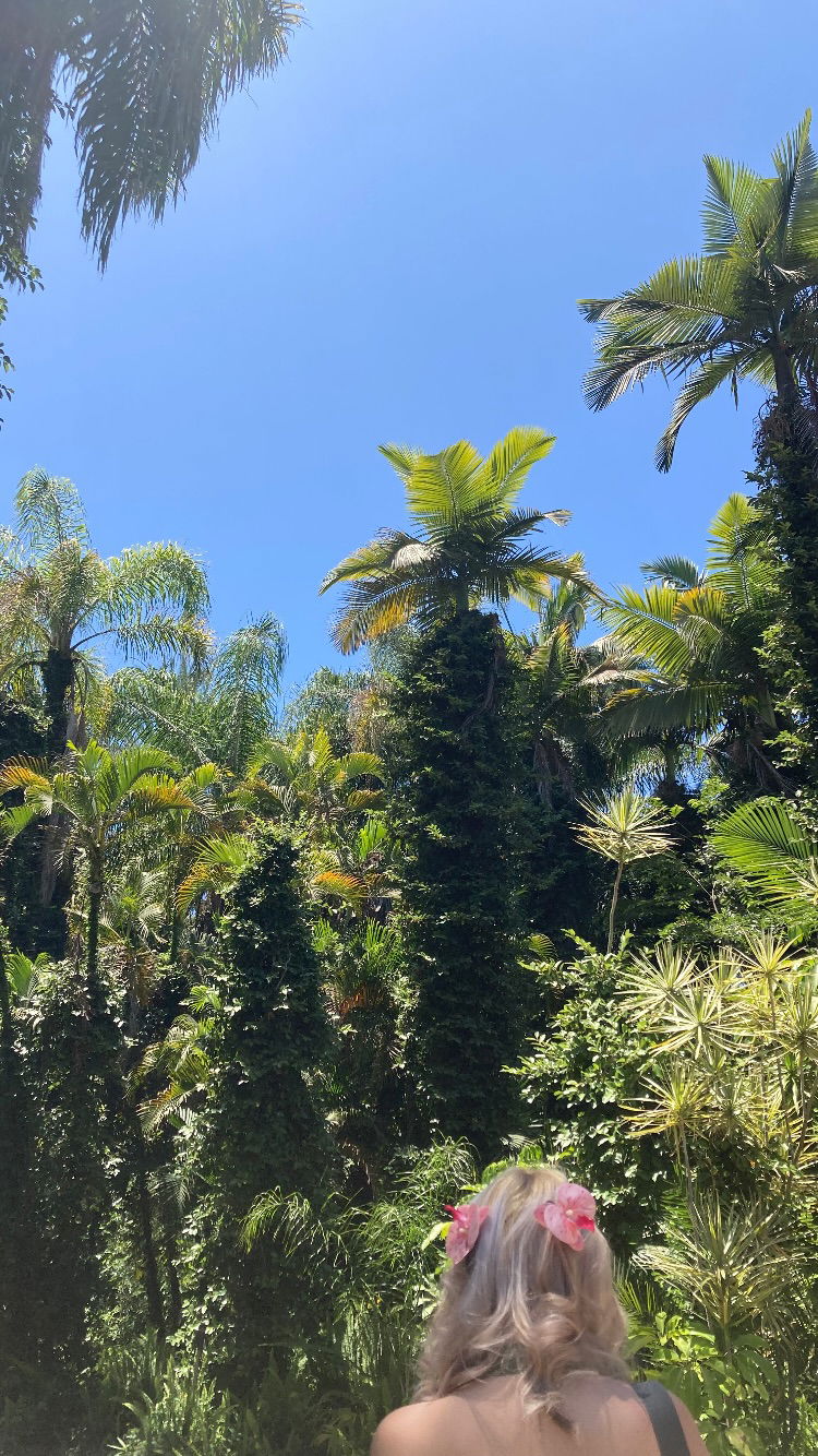 shanikaneko instagram image archive image