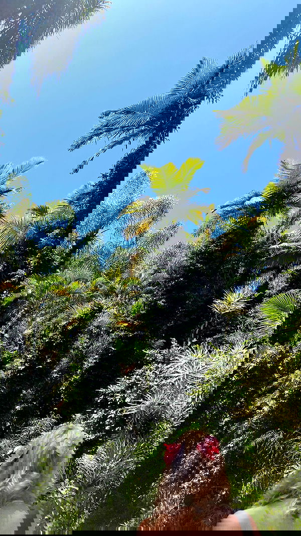 shanikaneko image ~ Altpins