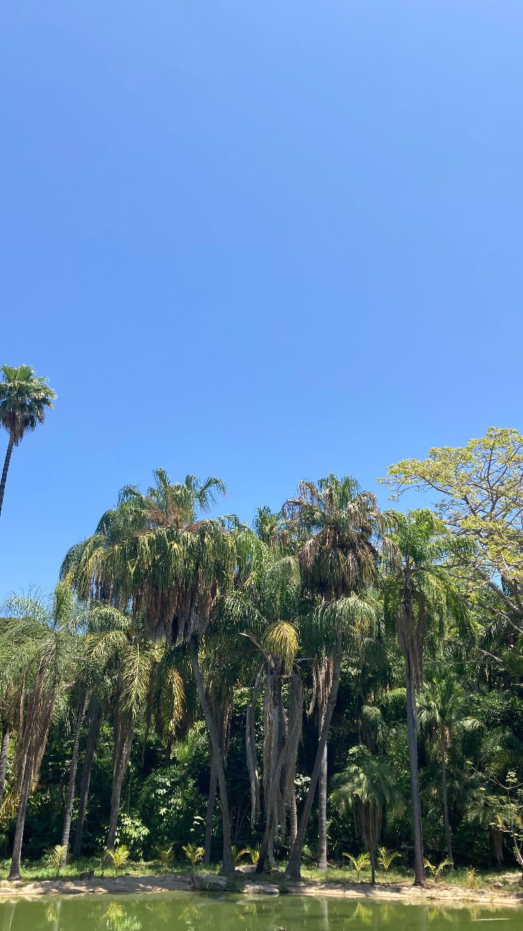 shanikaneko instagram image archive image