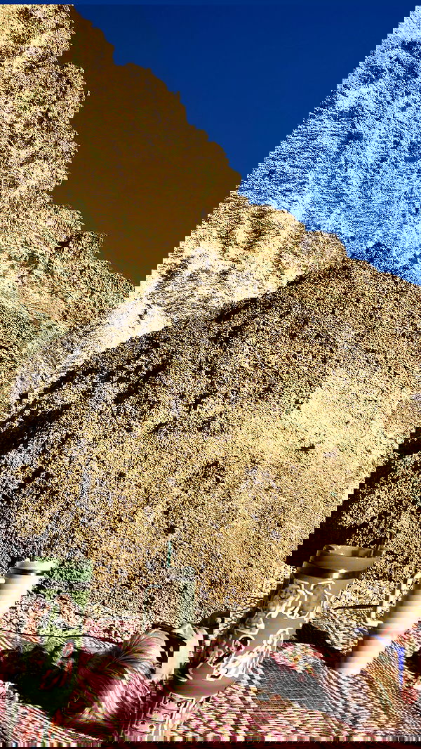 shanikaneko image ~ Altpins