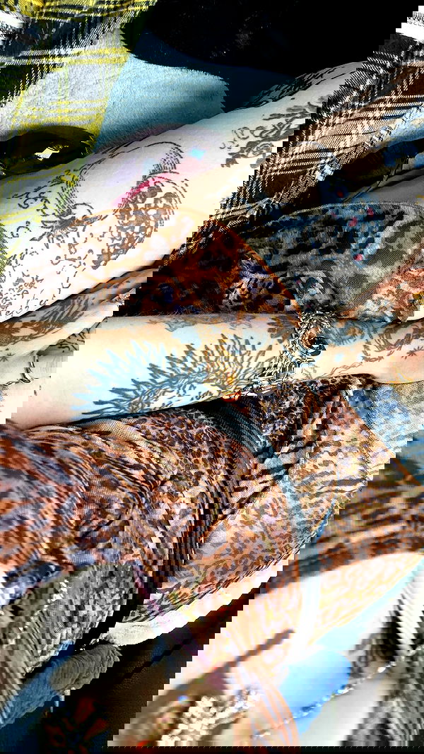 shanikaneko image ~ Altpins