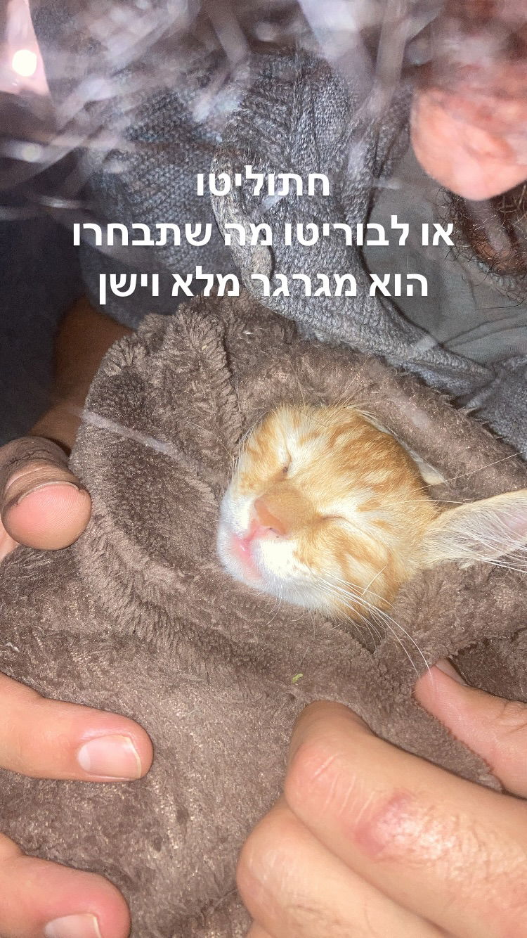 shanikaneko instagram image archive image