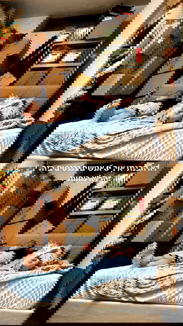 shanikaneko image ~ Altpins