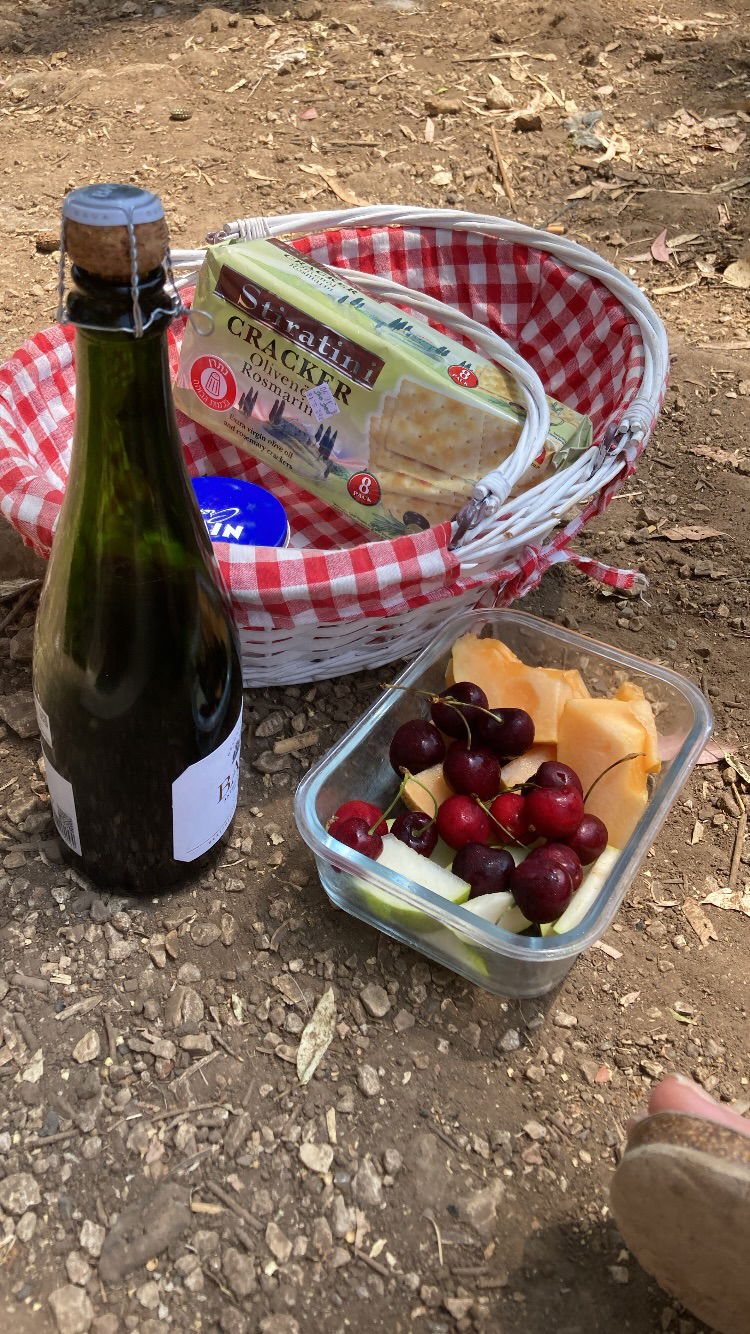 shanikaneko instagram image archive image