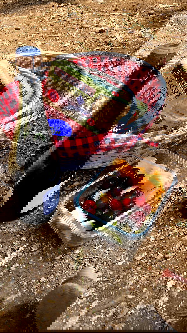 shanikaneko image ~ Altpins