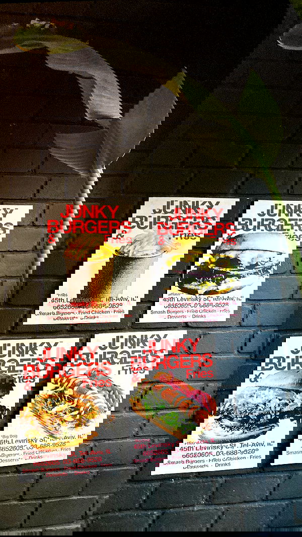 shanikaneko image ~ Altpins