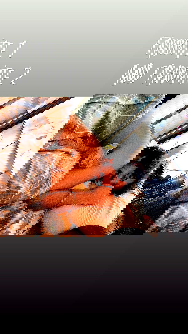 shanikaneko image ~ Altpins