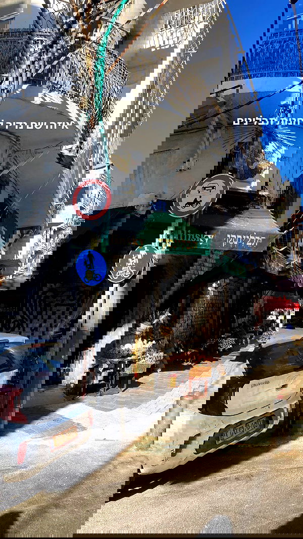 shanikaneko image ~ Altpins