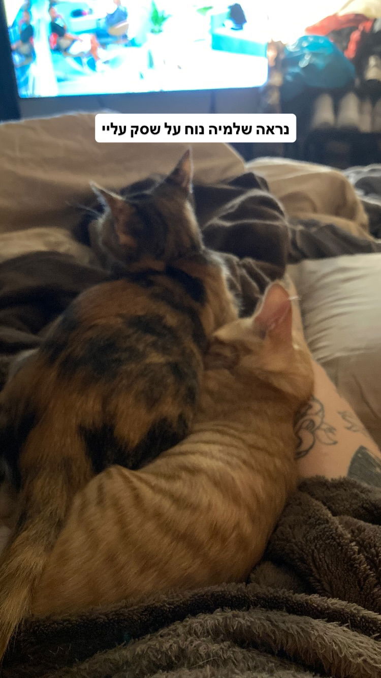 shanikaneko instagram image archive image