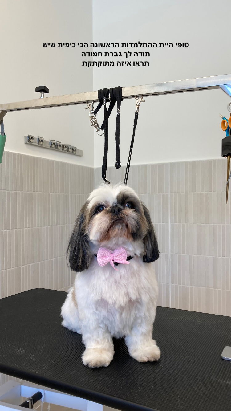 shanikaneko instagram image archive image