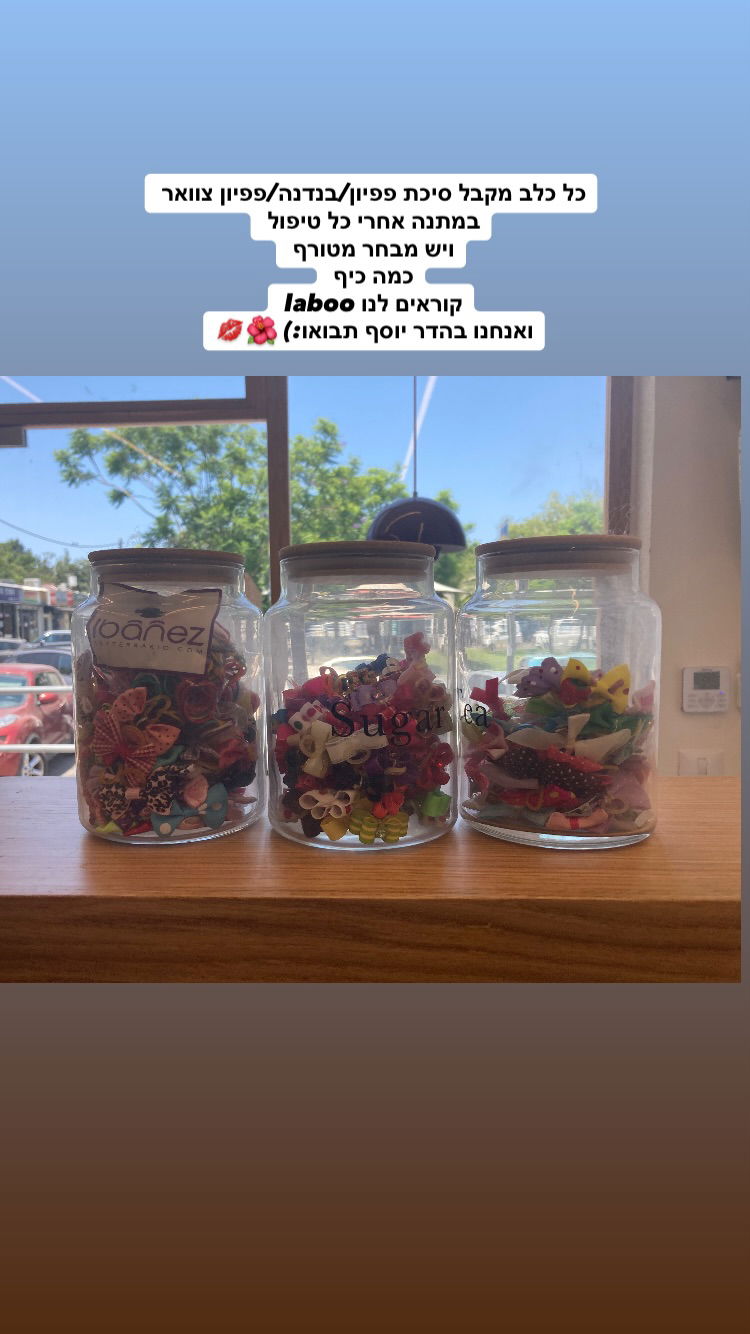 shanikaneko instagram image archive image