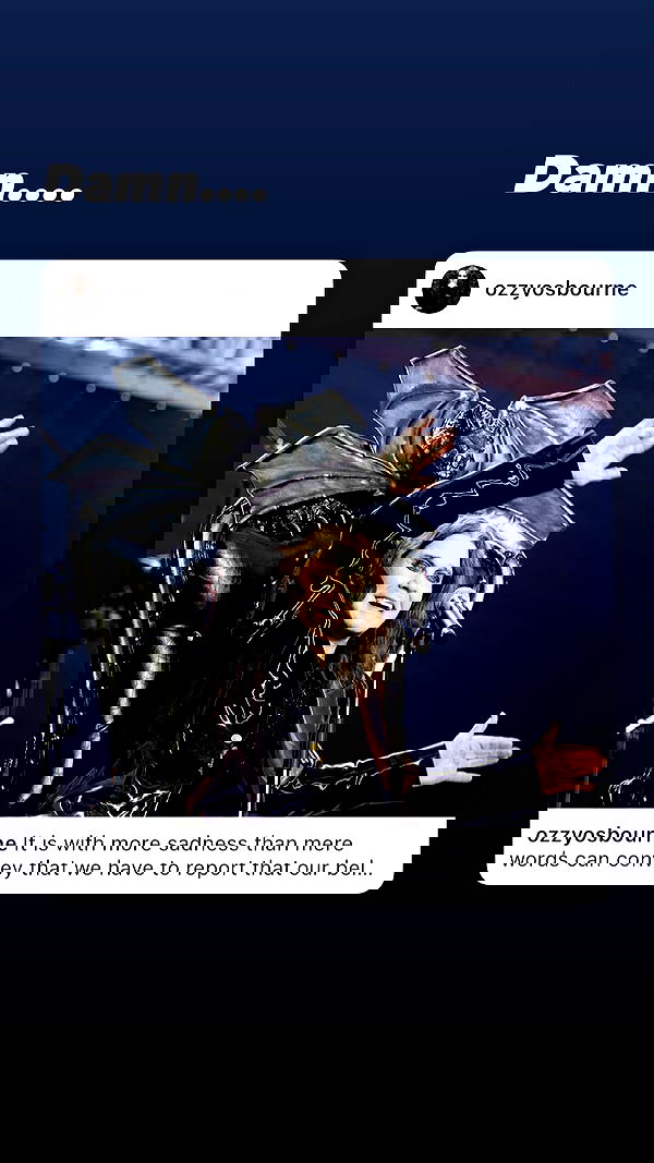 shanikaneko image ~ Altpins