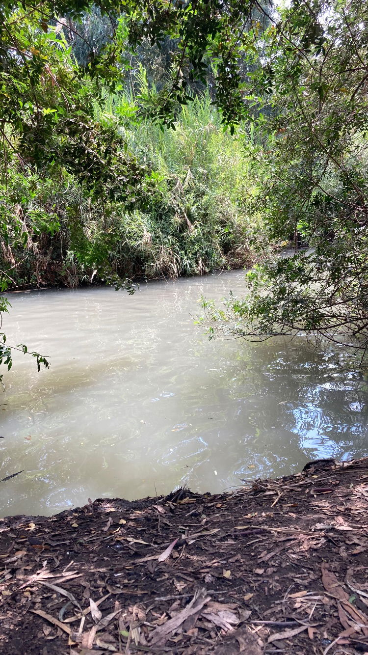 shanikaneko instagram image archive image