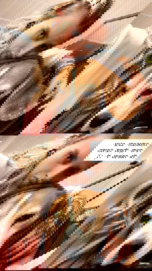 shanikaneko image ~ Altpins