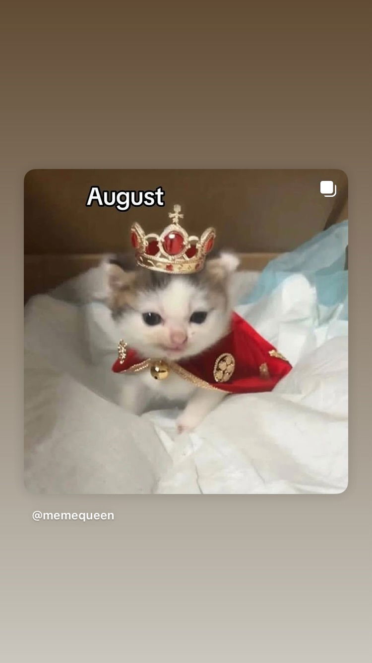 shanikaneko instagram image archive image