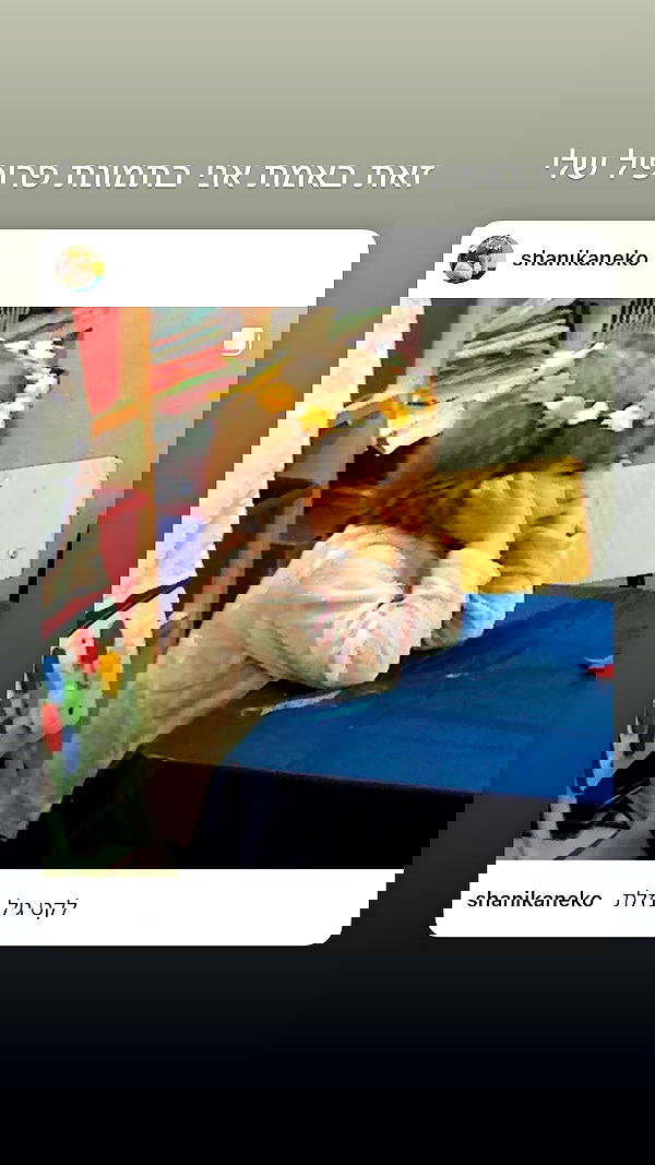 shanikaneko image ~ Altpins