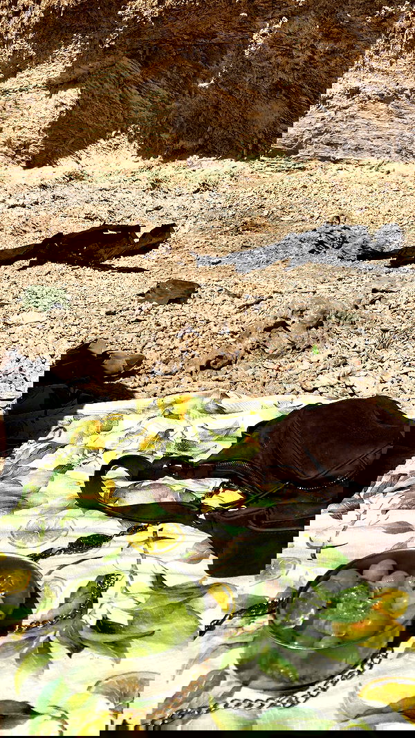 shanikaneko image ~ Altpins