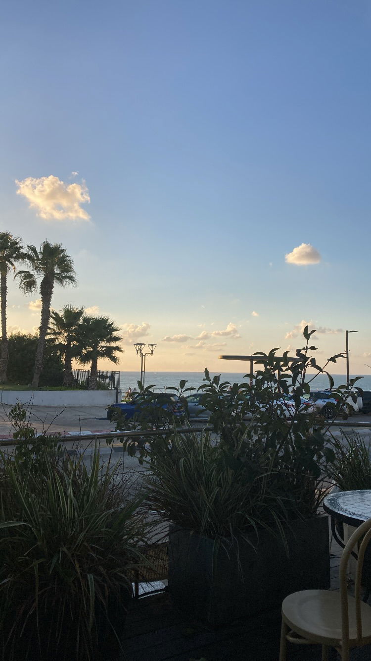 shanikaneko instagram image archive image