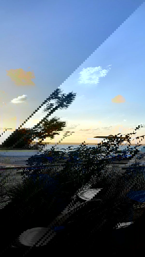 shanikaneko image ~ Altpins