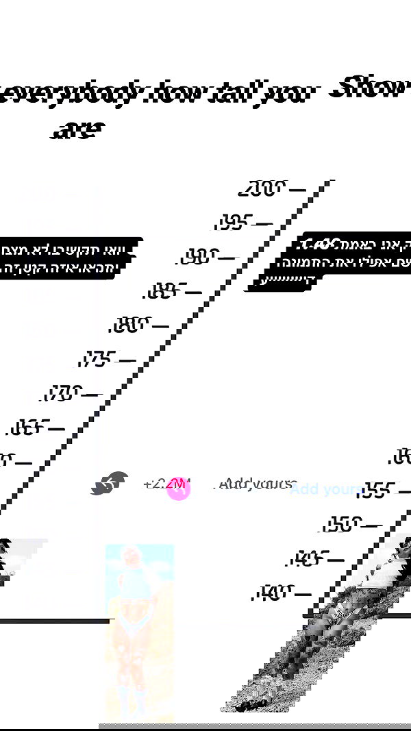 shanikaneko image ~ Altpins