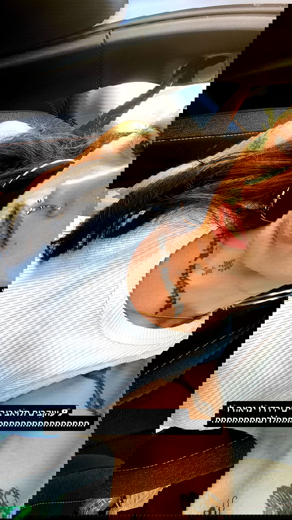 shanikaneko image ~ Altpins