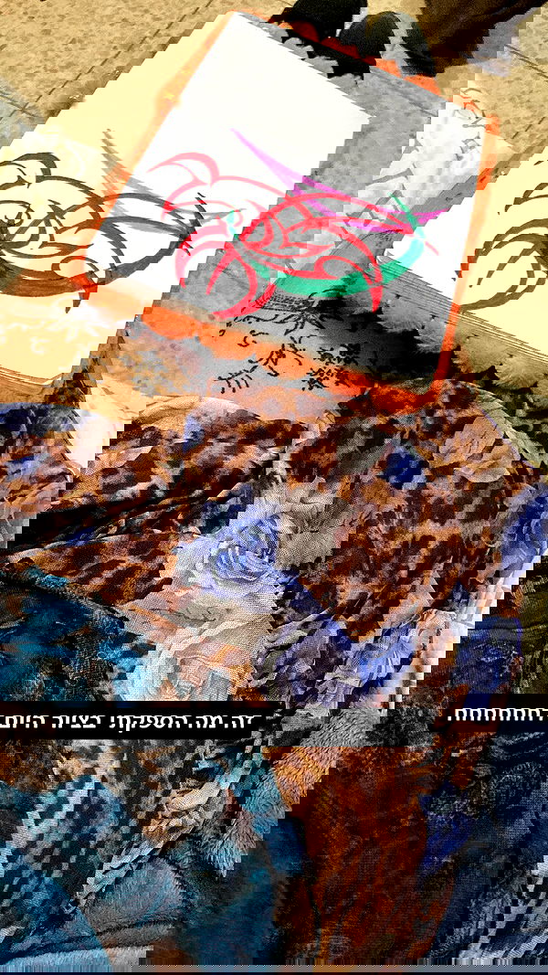 shanikaneko image ~ Altpins