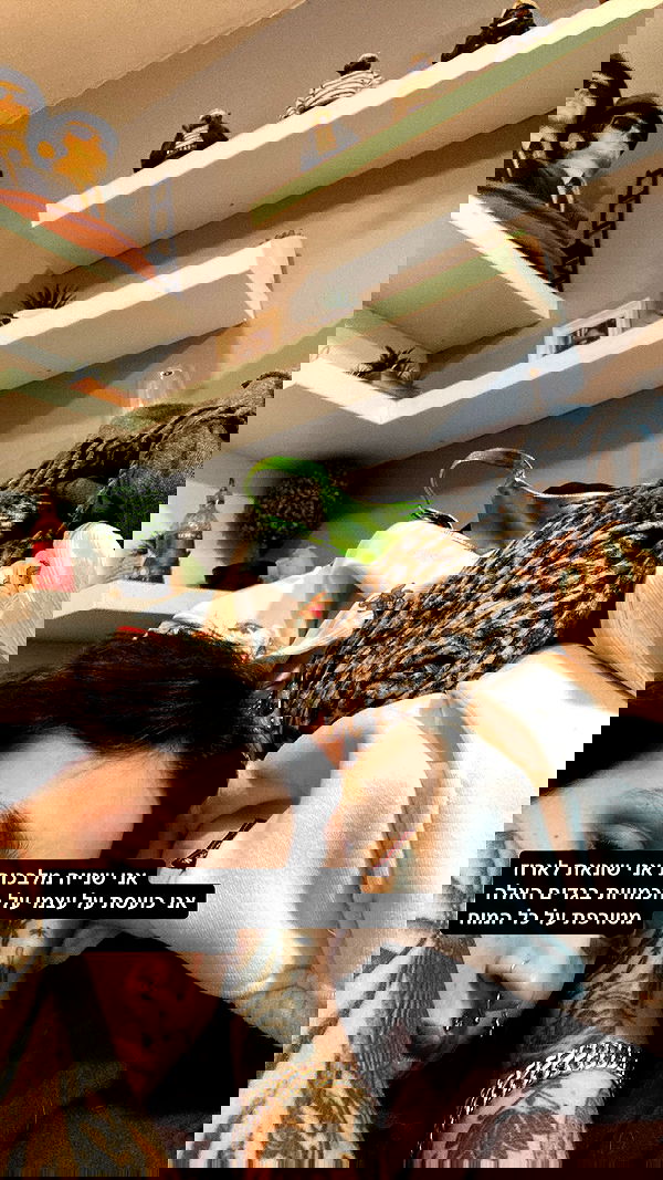 shanikaneko image ~ Altpins