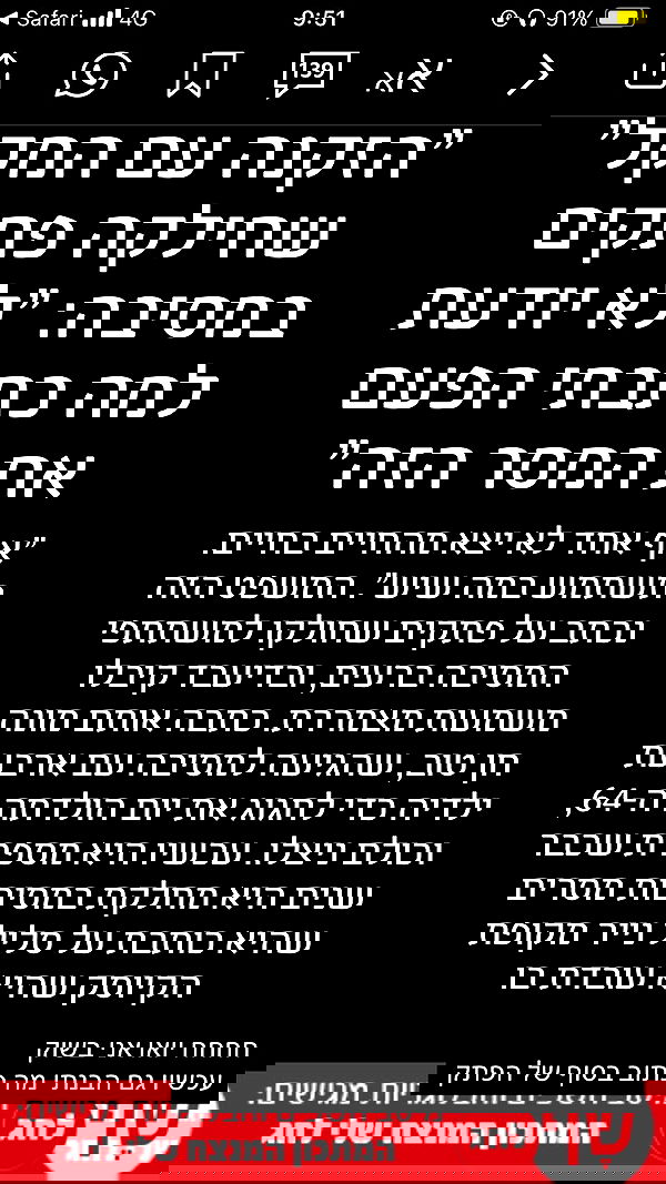 shanikaneko image ~ Altpins