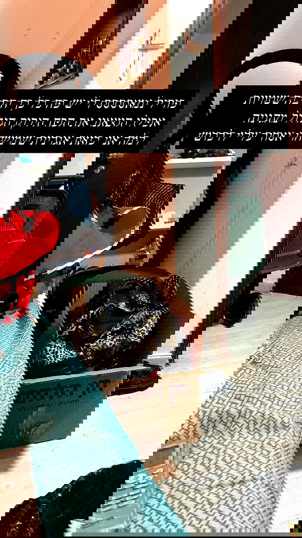 shanikaneko image ~ Altpins