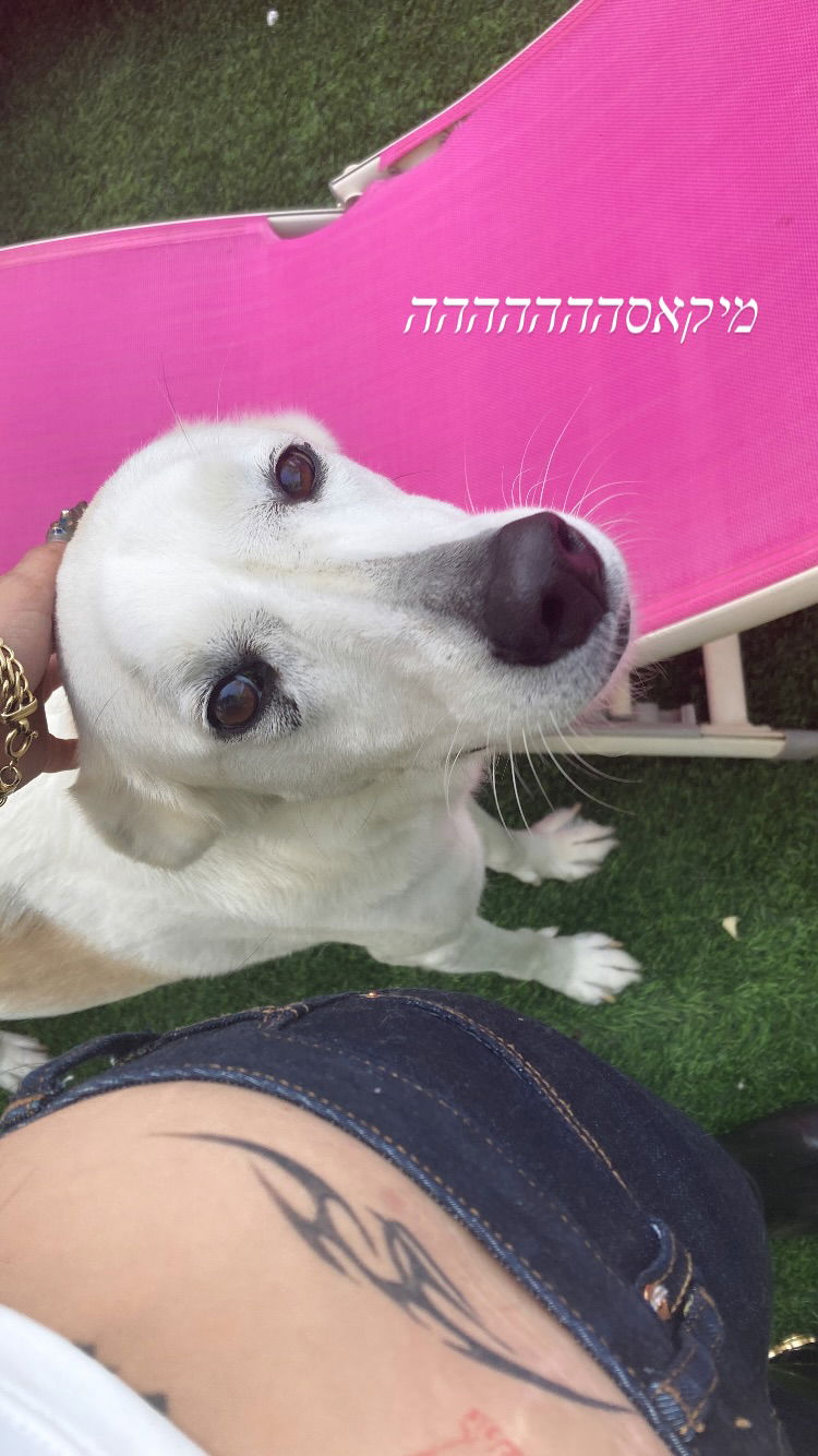 shanikaneko instagram image archive image