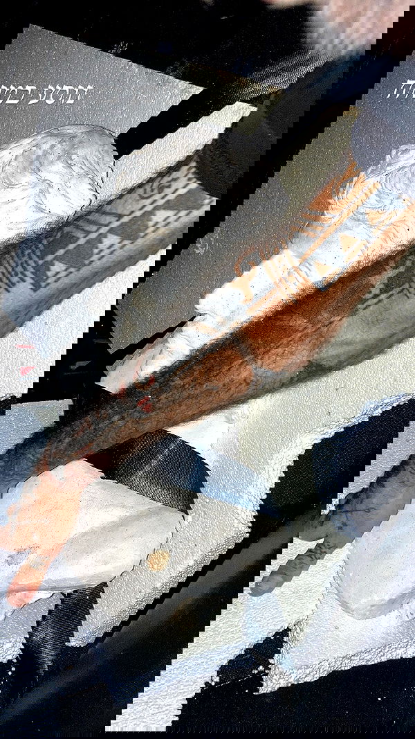 shanikaneko image ~ Altpins