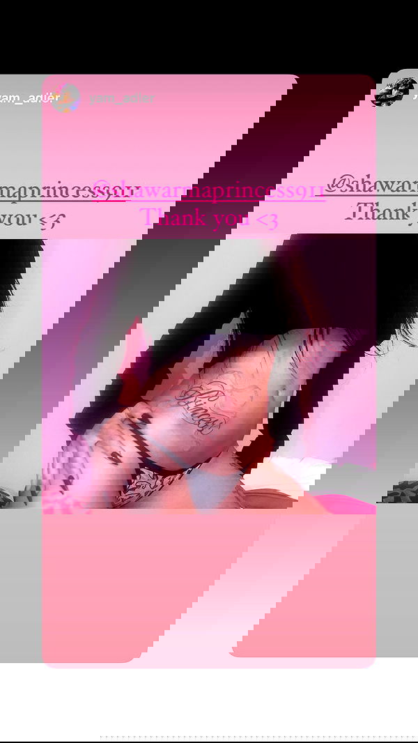 shawarmaprincess911 shawarmaprincess911 archive image