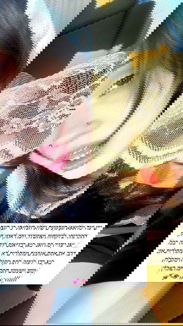 shawarmaprincess911 shawarmaprincess911 archive image