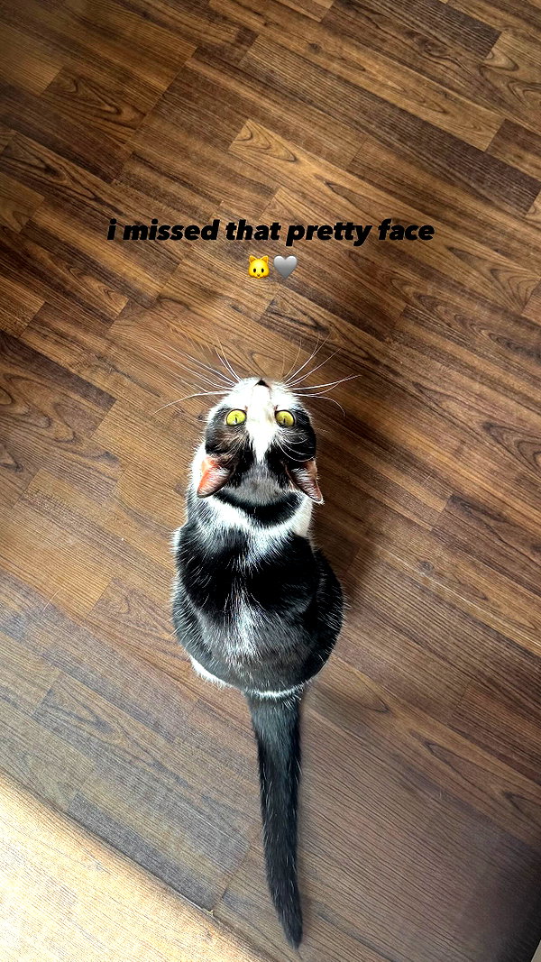 shawtysuzi instagram image archive image