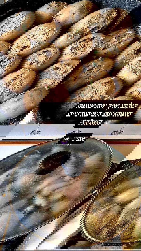 shayli_or shayli_or archive image