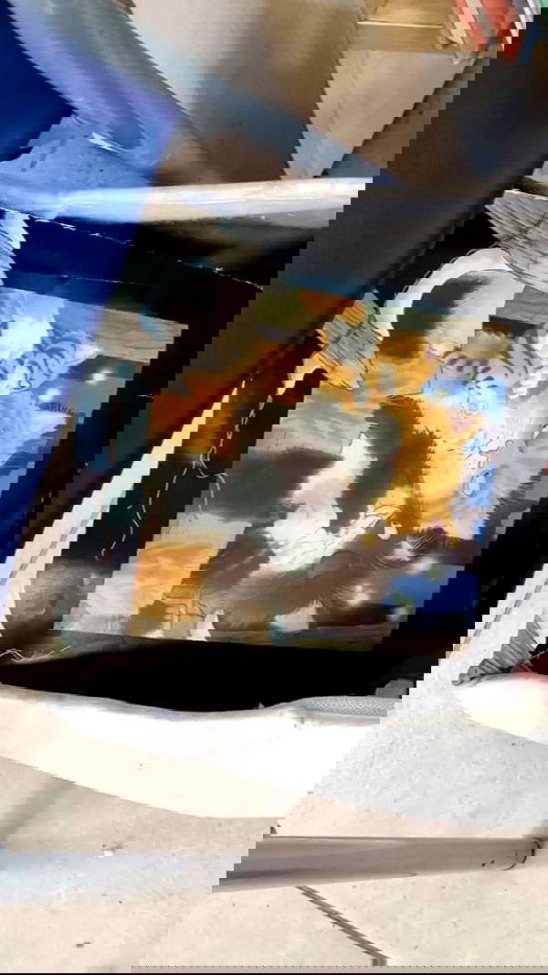 shayli_or shayli_or archive image