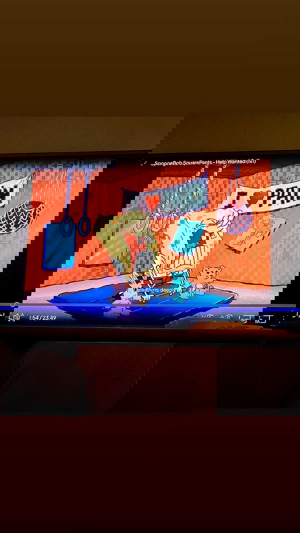 shayli_or shayli_or archive image