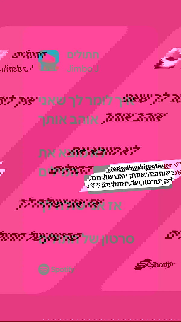 shayli_or shayli_or archive image