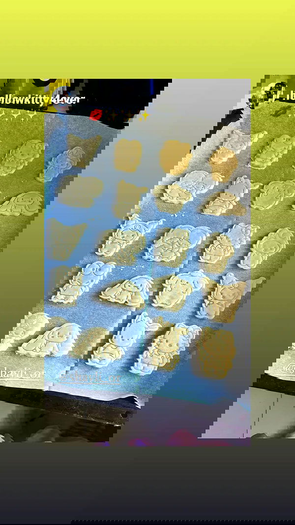 shayli_or shayli_or archive image