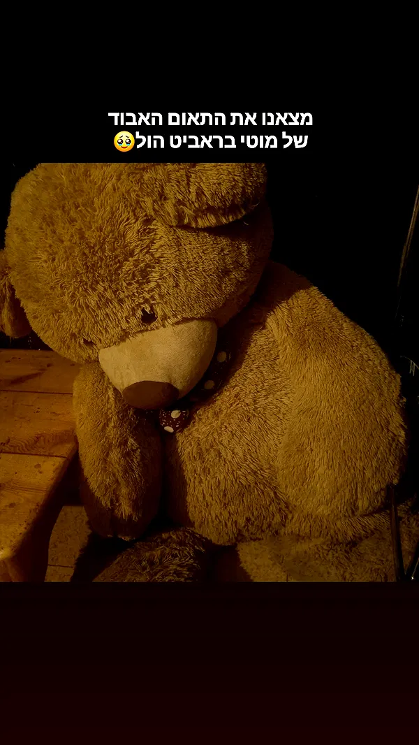 shayli_or shayli_or archive image