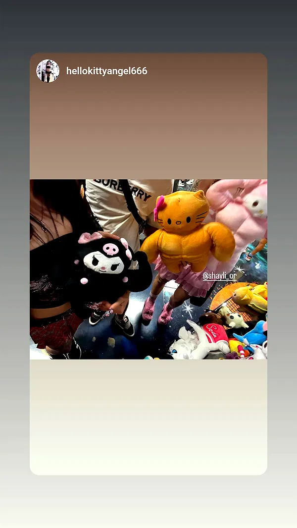 shayli_or shayli_or archive image