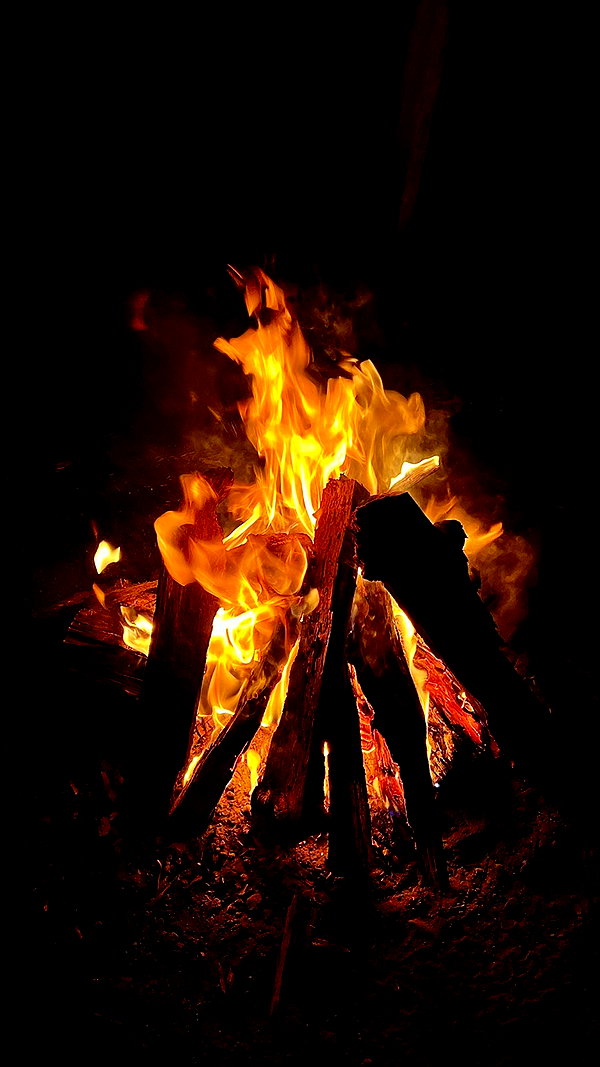 shayoded shayoded archive image
