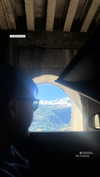 sheli.belayev Altpins Profile Picture