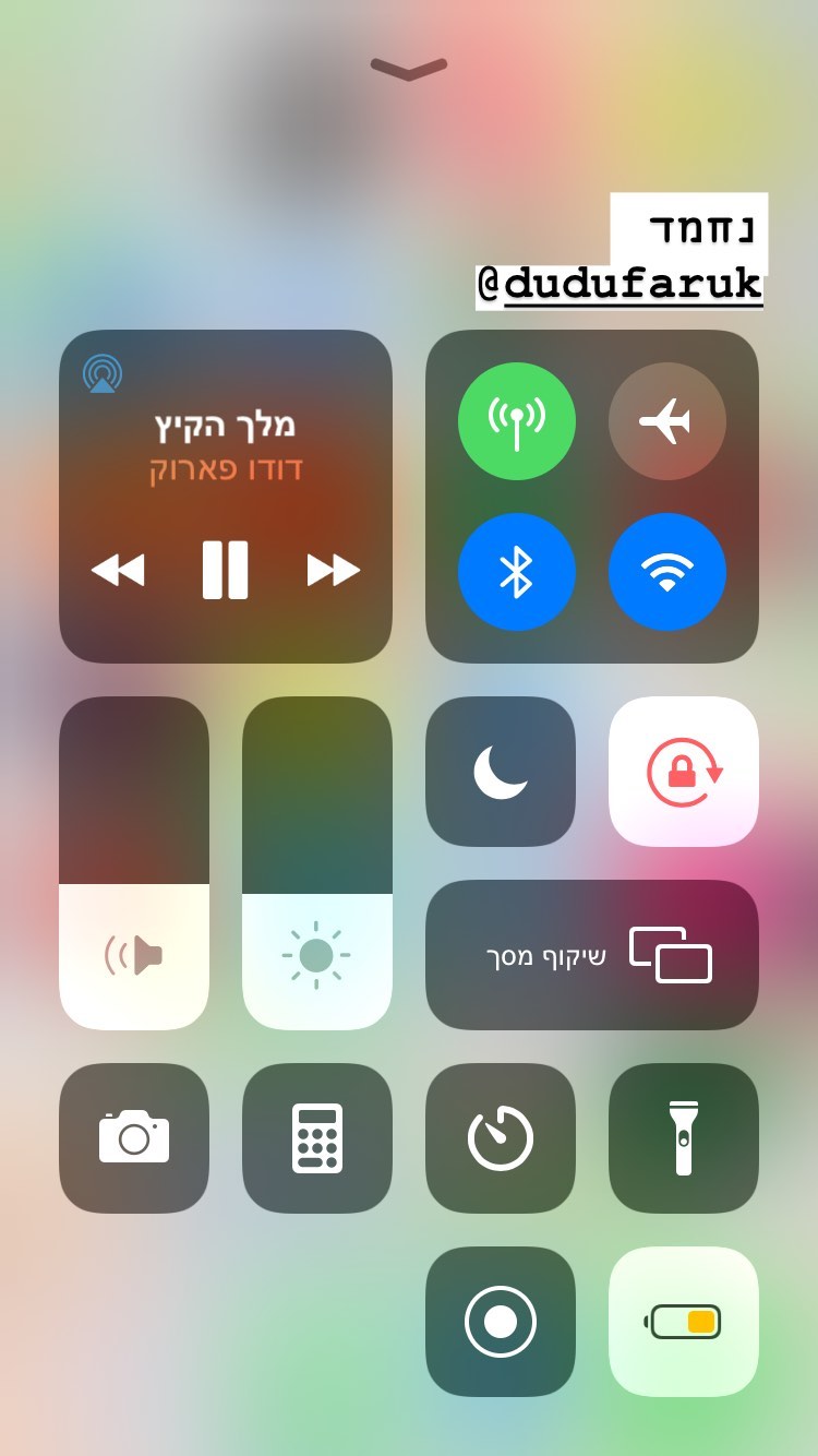 shelly_.mor instagram image archive image