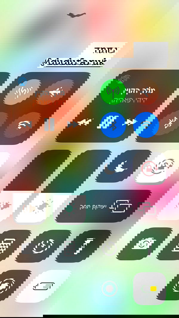 shelly_.mor image ~ Altpins