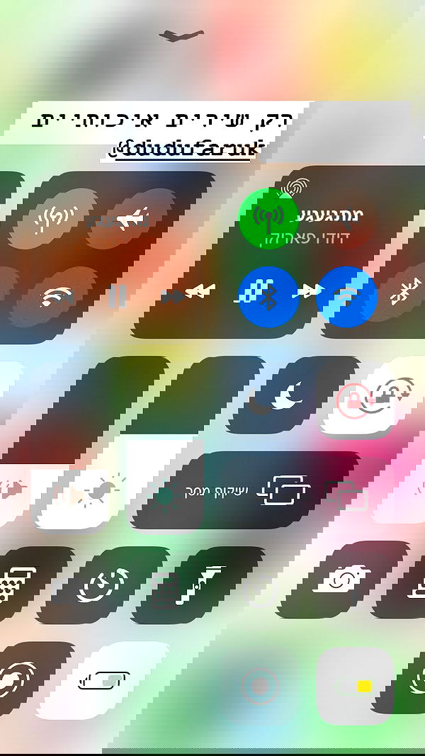 shelly_.mor image ~ Altpins