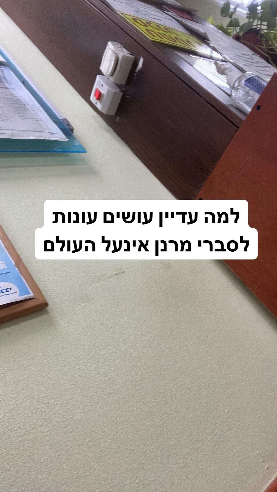 shelly_.mor instagram image archive image