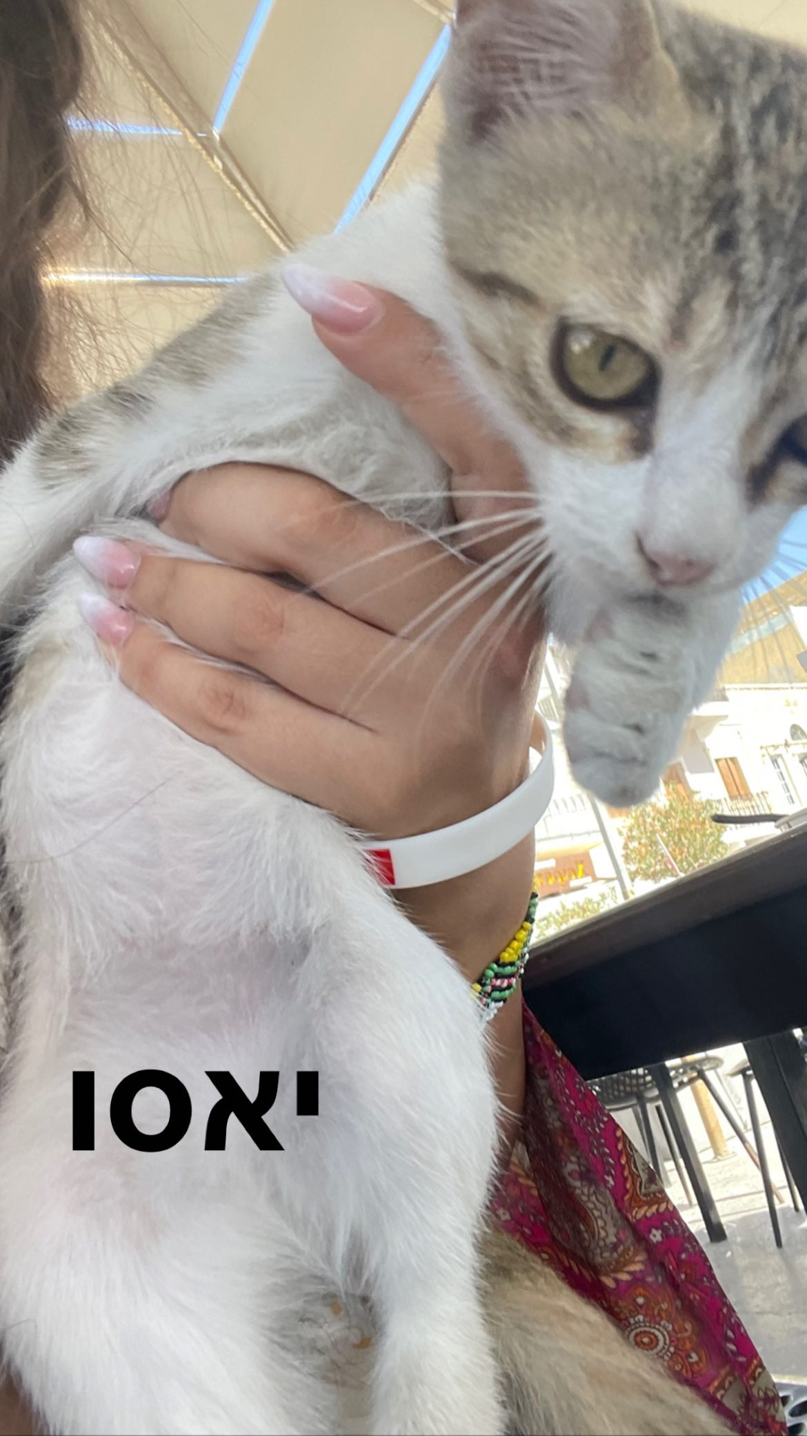 shelly_.mor instagram image archive image